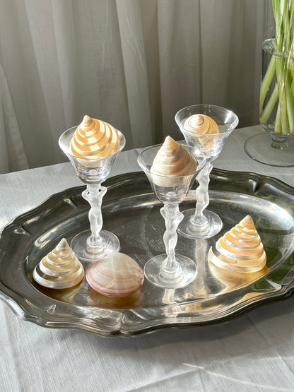 Decor clams