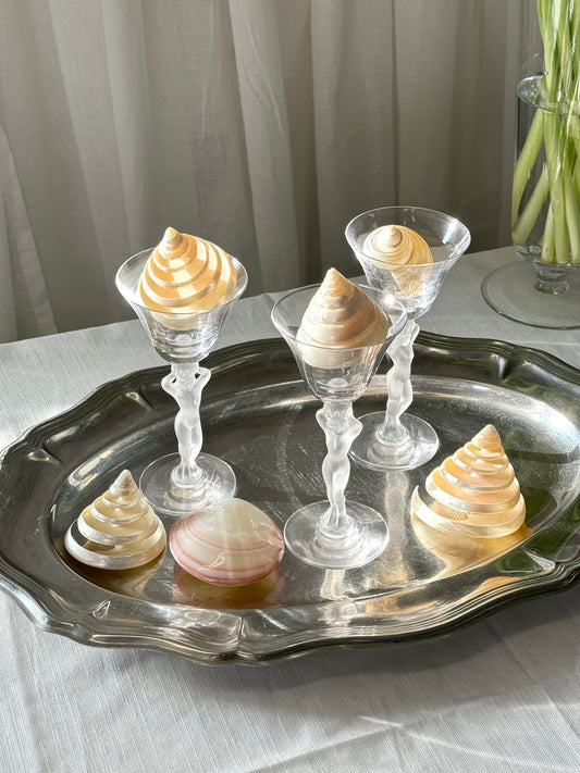 Decor clams