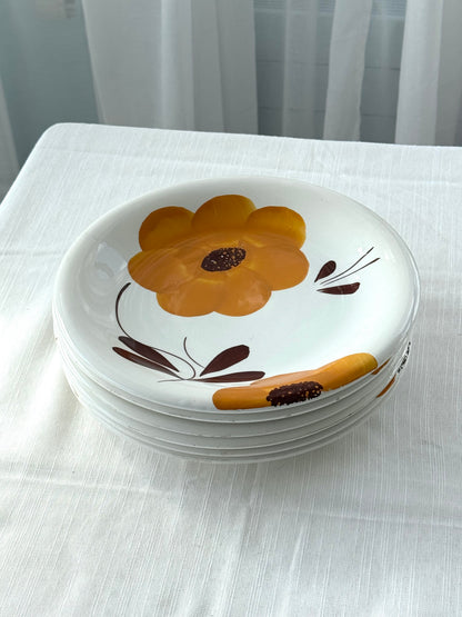 Dinner plates