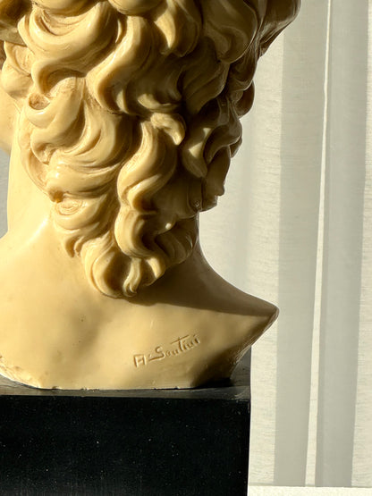 Signed David bust