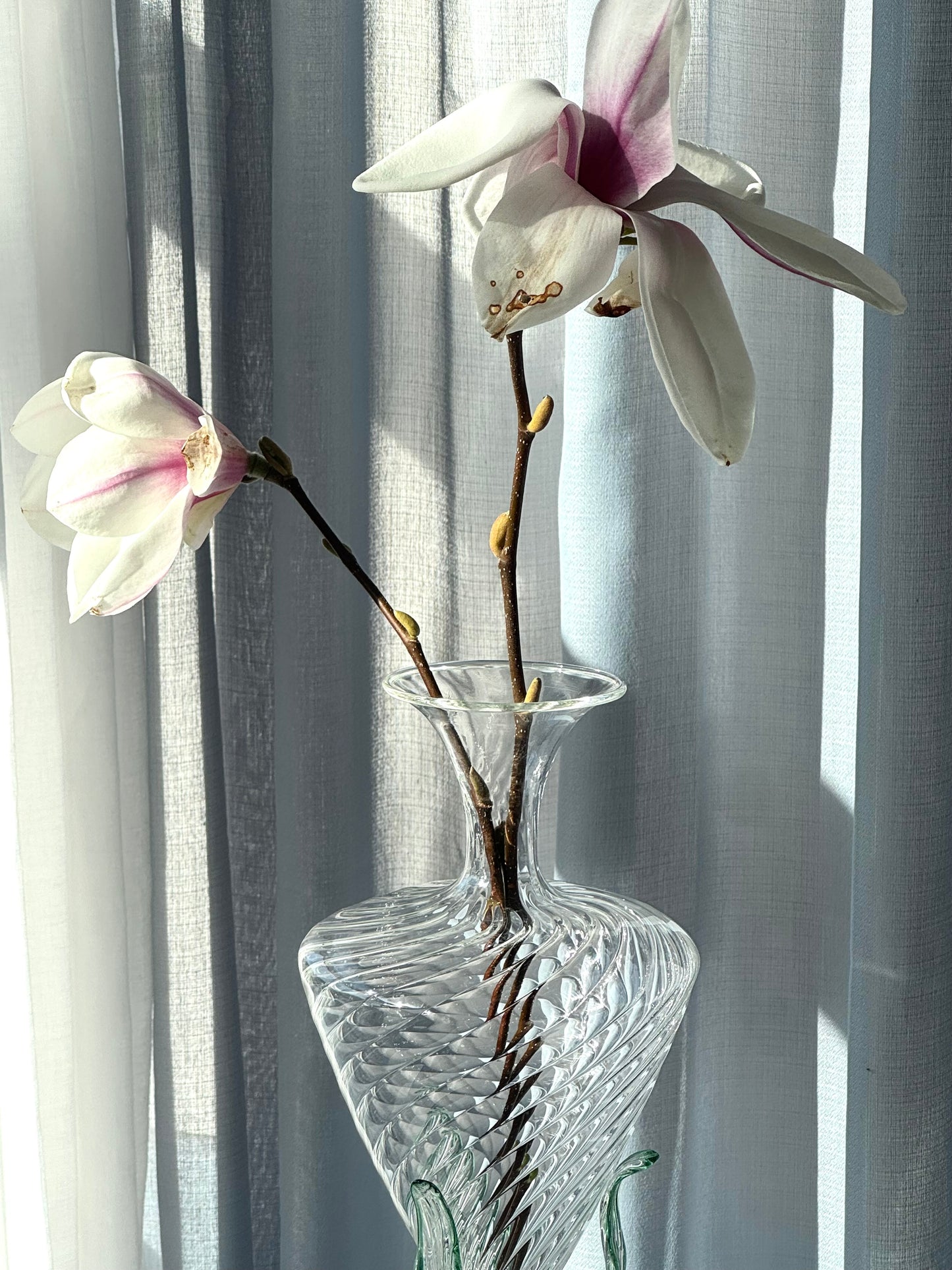 Murano carafe / vase