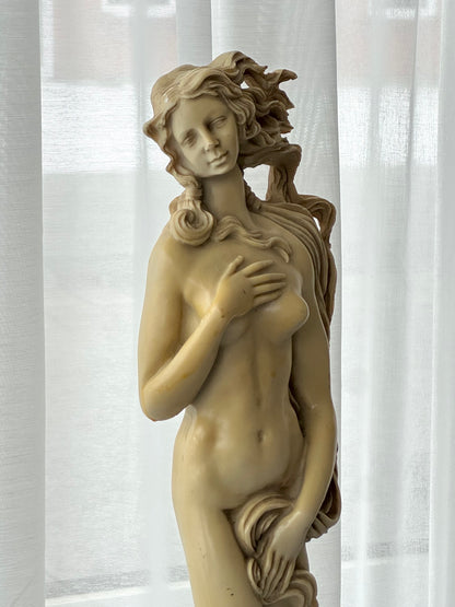 Venus figurine