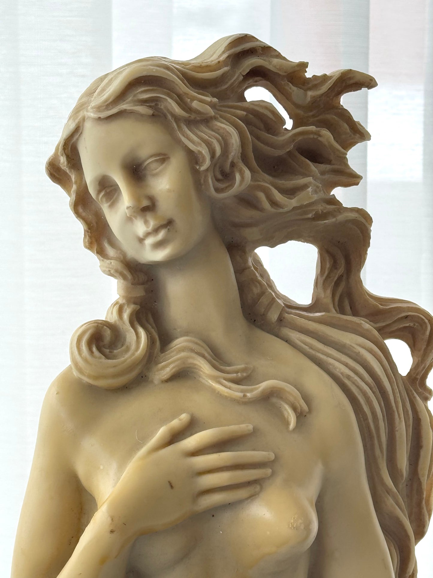 Venus figurine