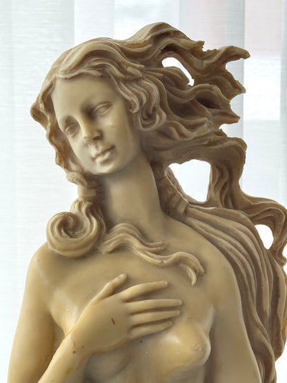 Venus figurine
