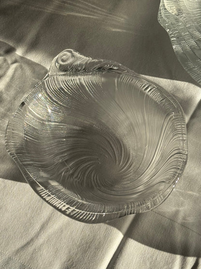 Studio Nova seashell
