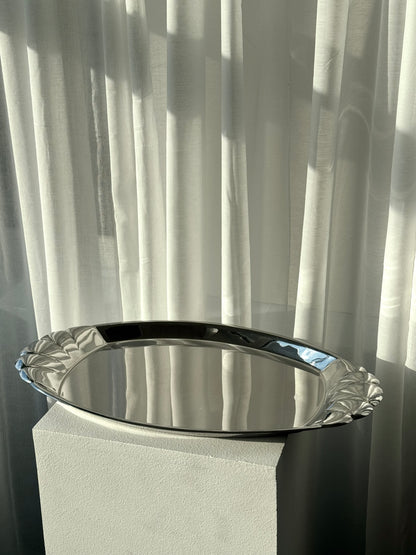 Inox dish