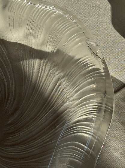 Studio Nova seashell