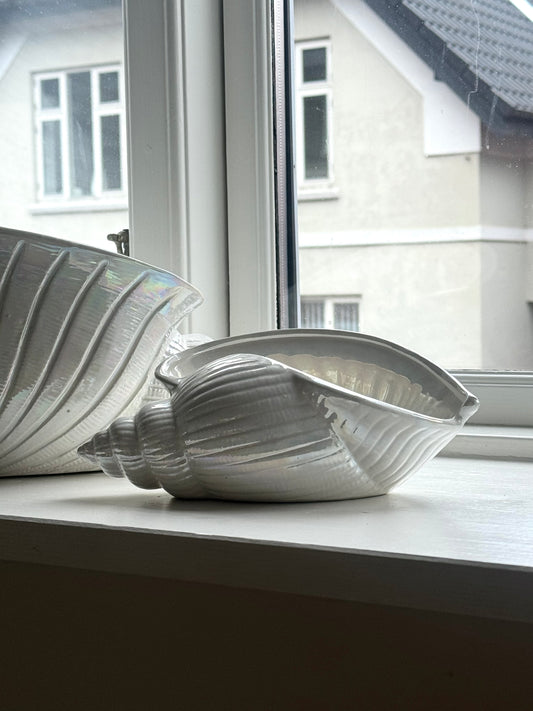 Mother of Pearl clam