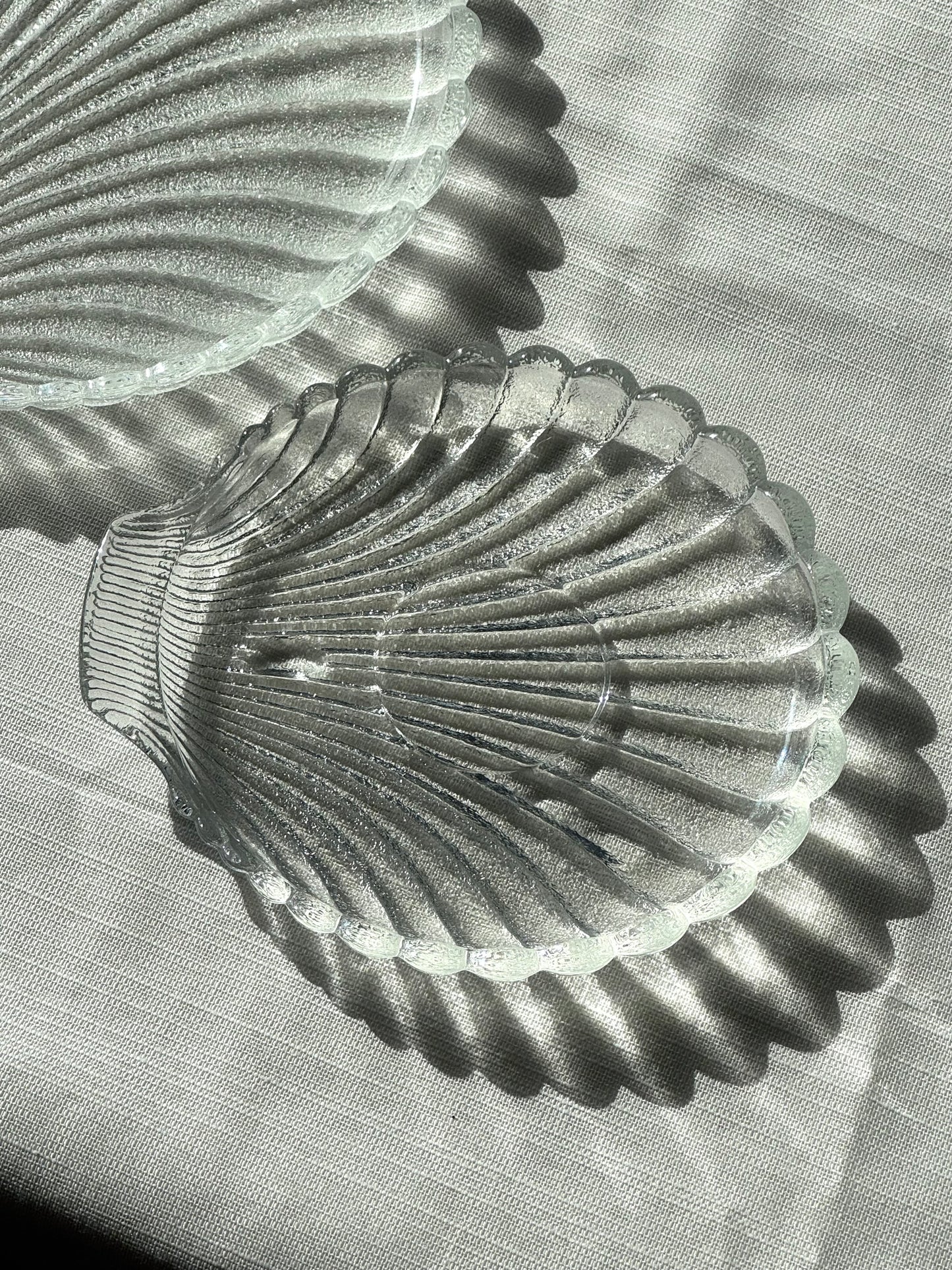 Glass clam plates