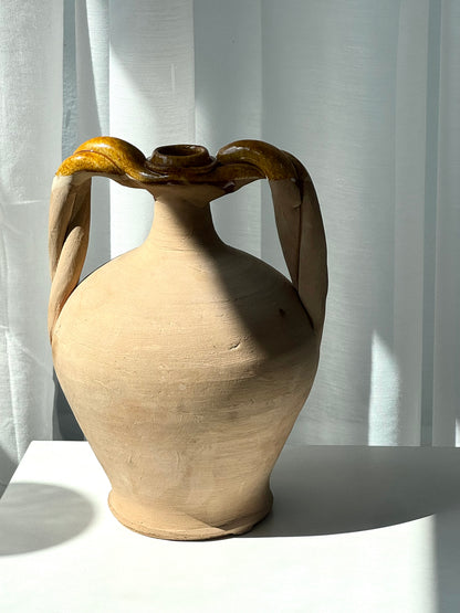 Amphora vase