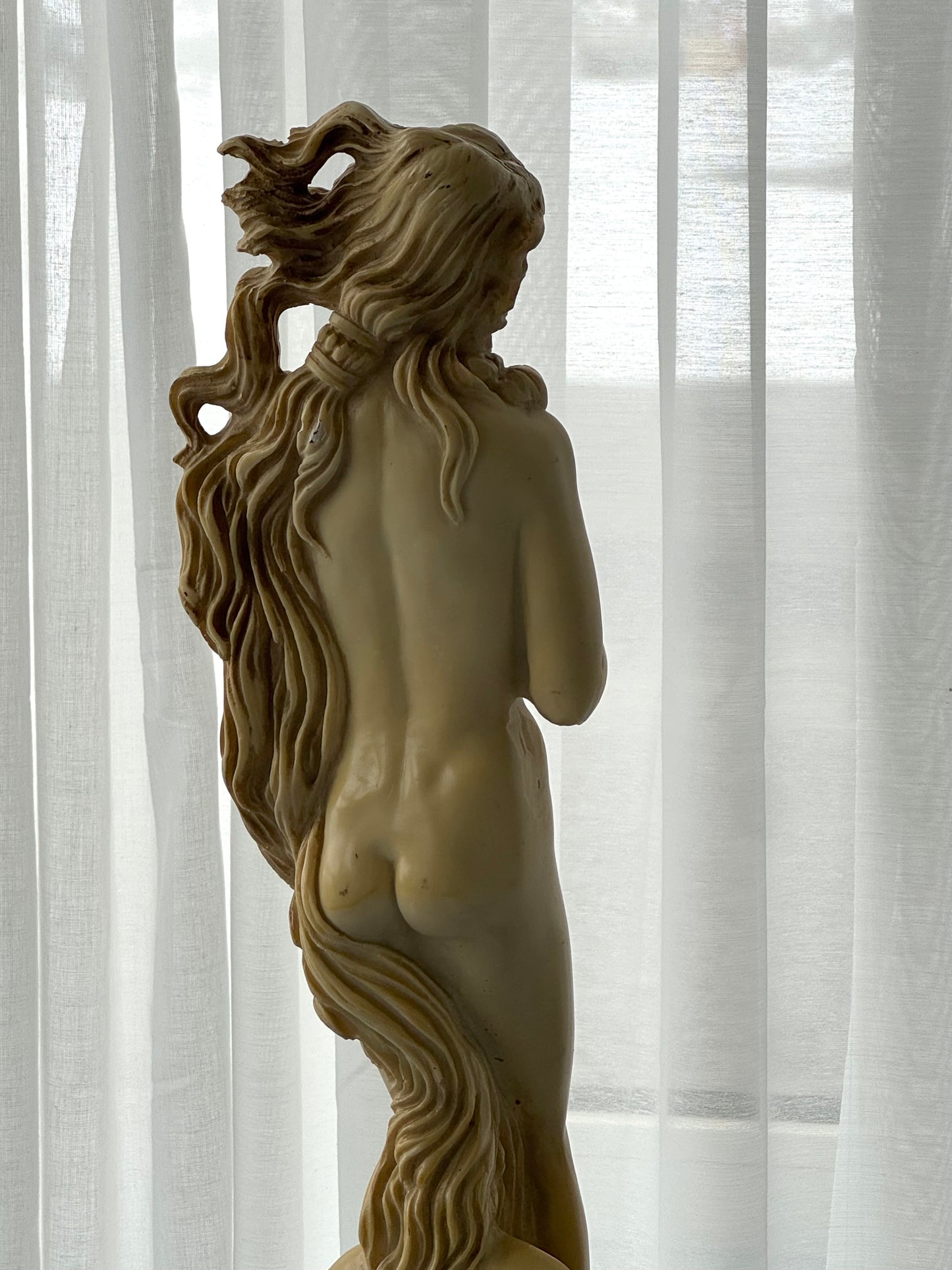Venus figurine