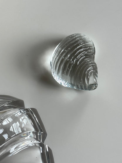 Small glass clam