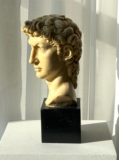 Signed David bust