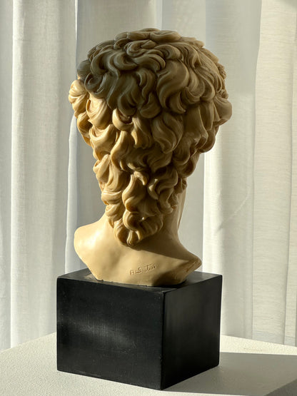 Signed David bust