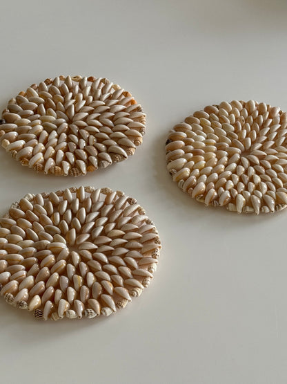 Shell coasters