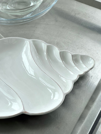 Conch Shell dish