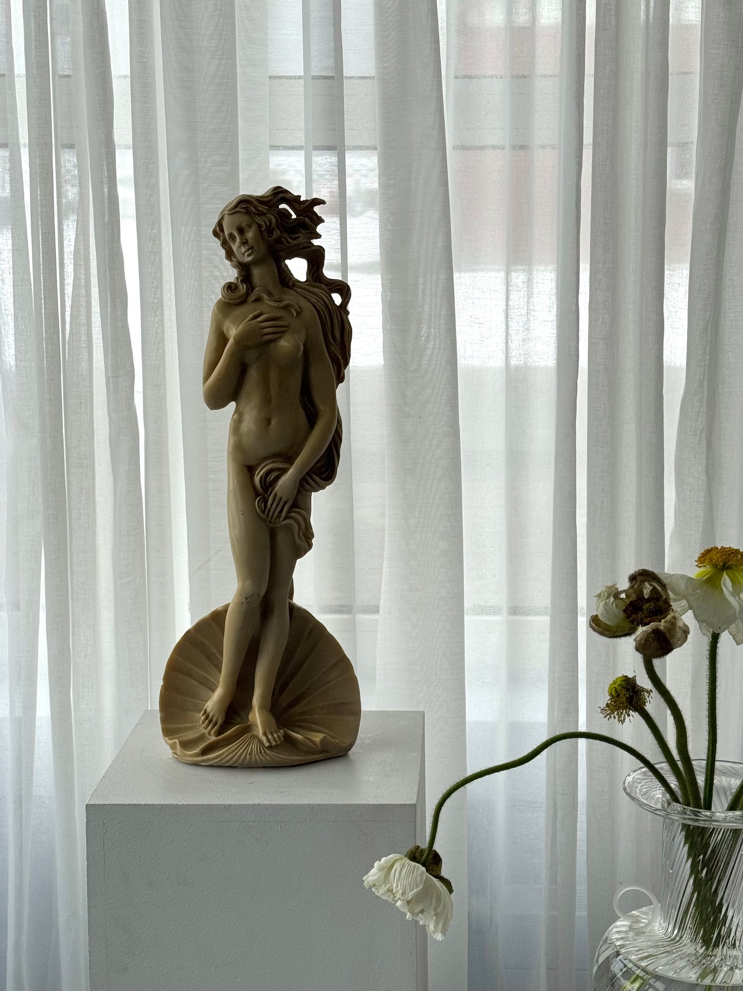 Venus figurine
