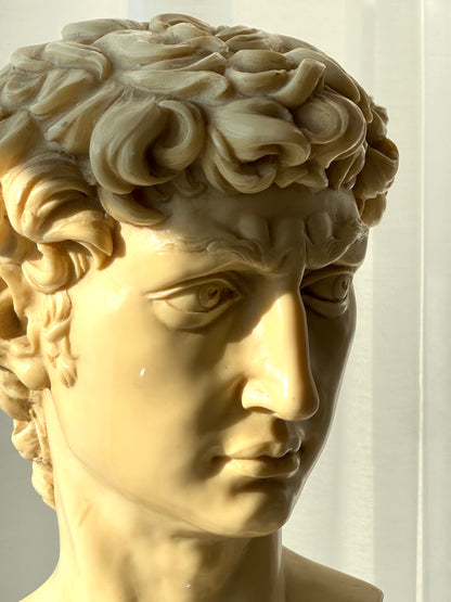 Signed David bust