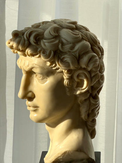 Signed David bust