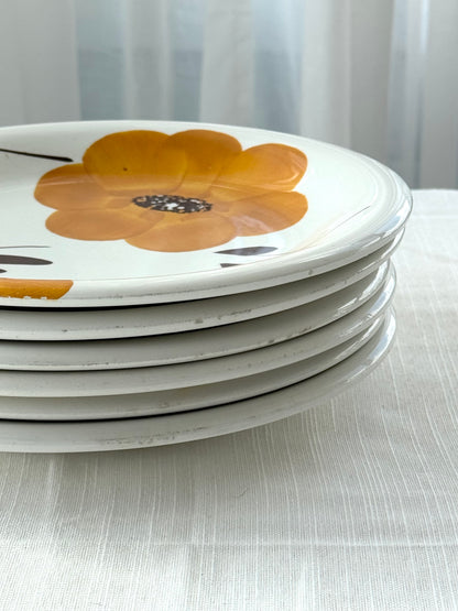 Dinner plates
