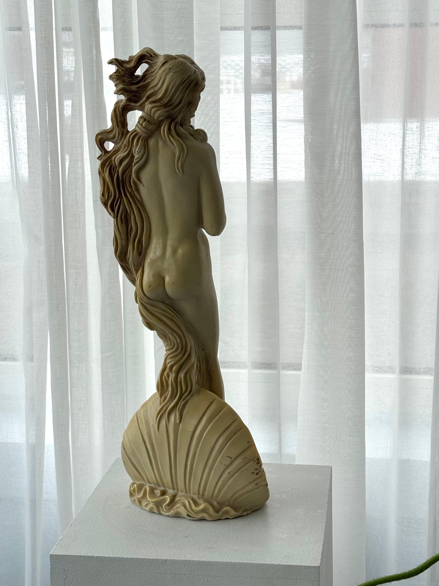 Venus figurine