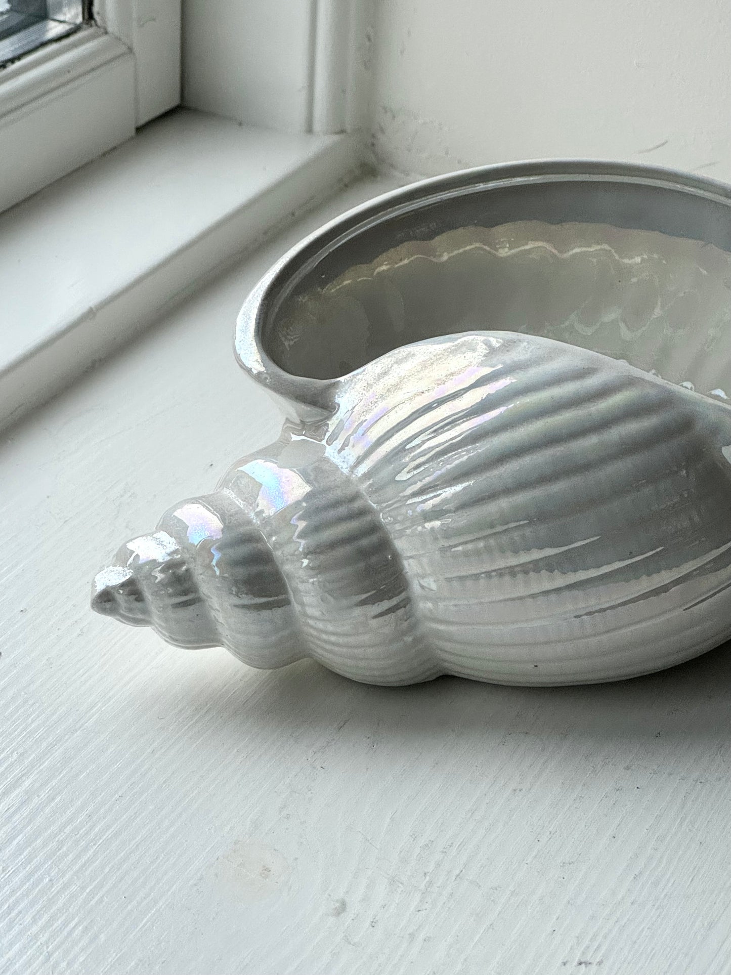 Mother of Pearl clam