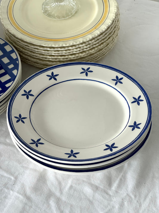 La primula plates