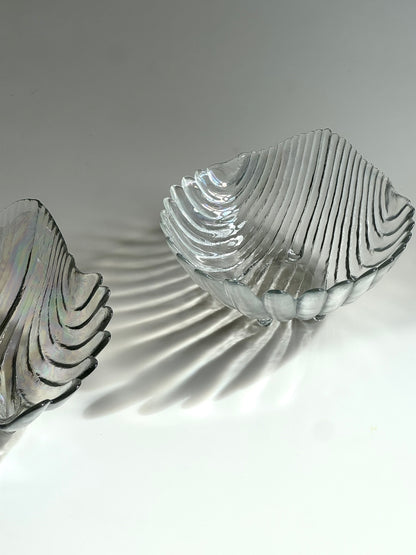 Clam bowl