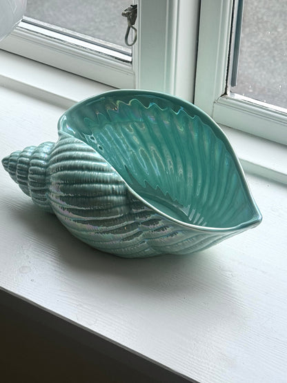 Green clam bowl