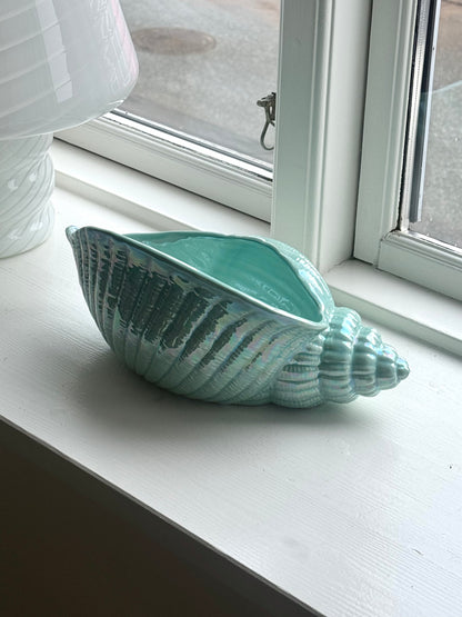 Green clam bowl