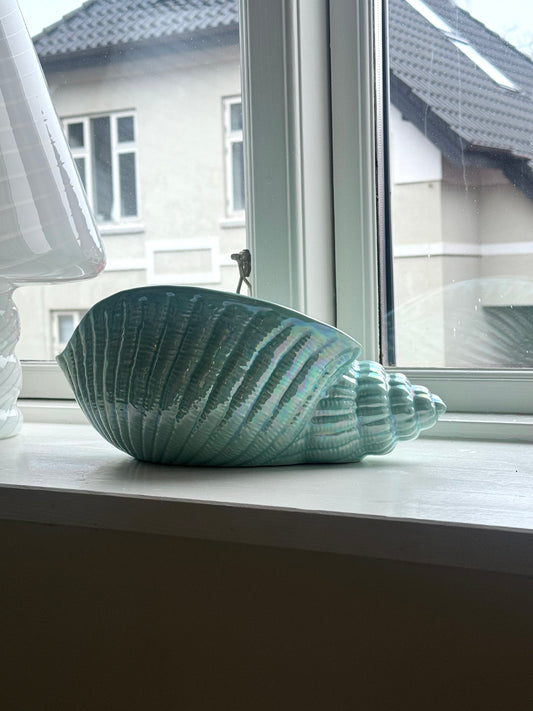 Green clam bowl