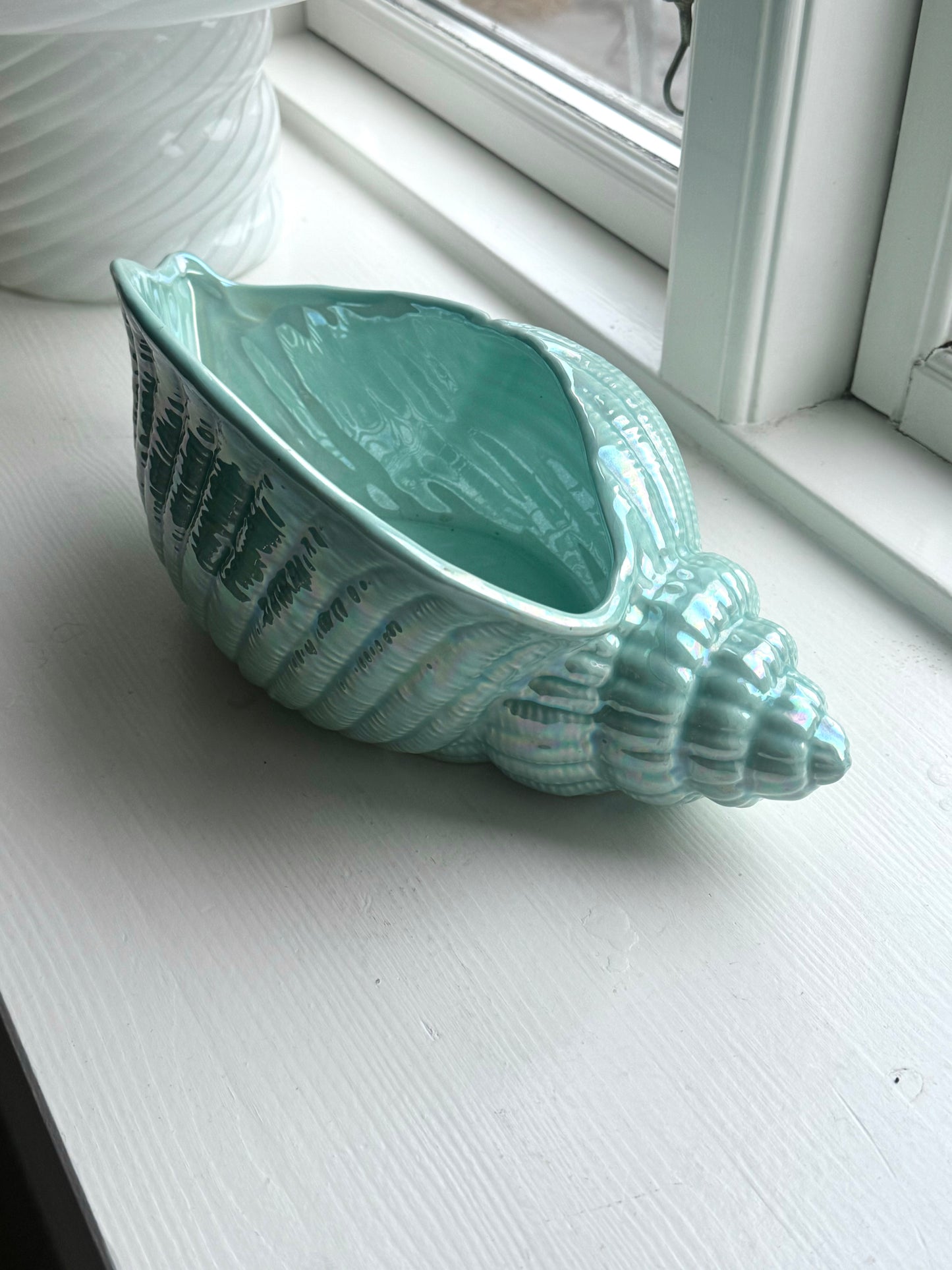 Green clam bowl