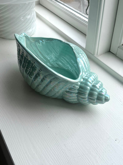 Green clam bowl